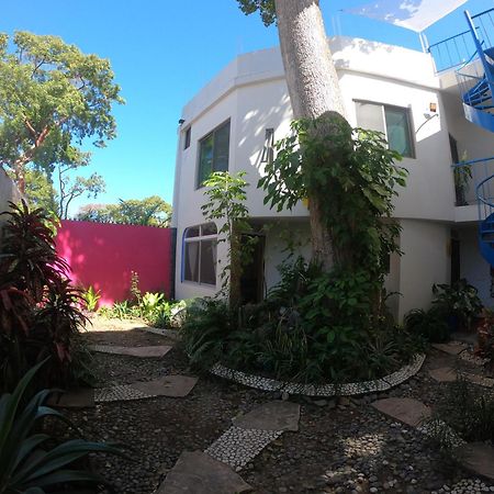 Casa Arbol De Paz Habitacion Doble Чакала Екстериор снимка