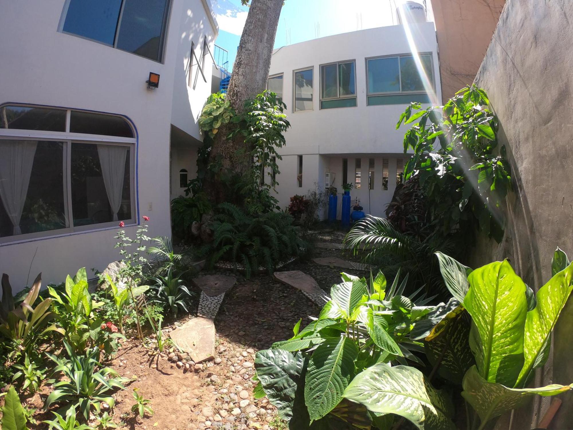 Casa Arbol De Paz Habitacion Doble Чакала Екстериор снимка