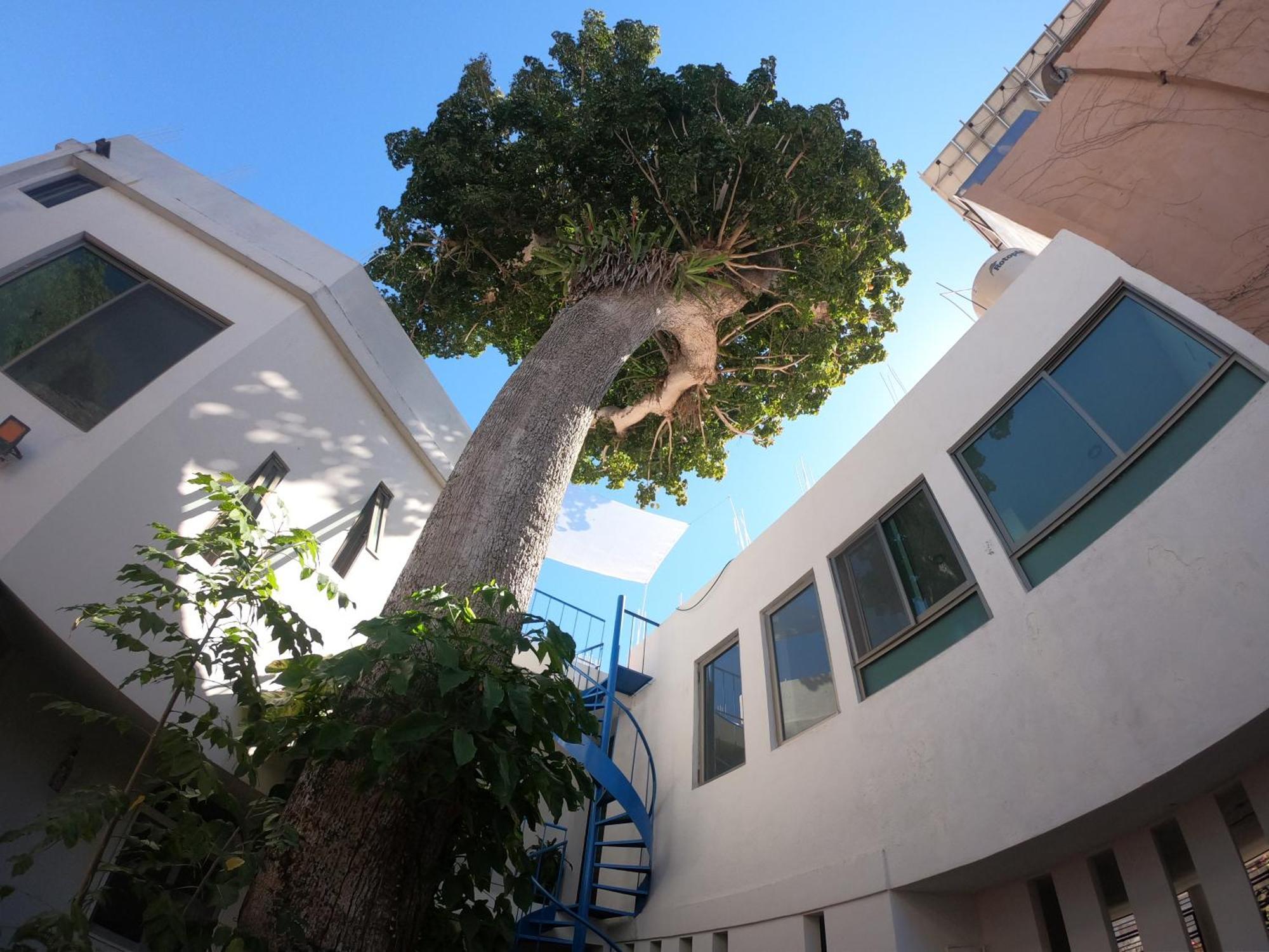 Casa Arbol De Paz Habitacion Doble Чакала Екстериор снимка